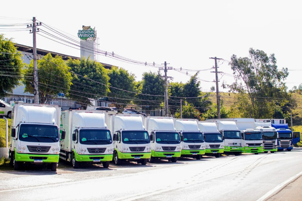 Transporte e Logística