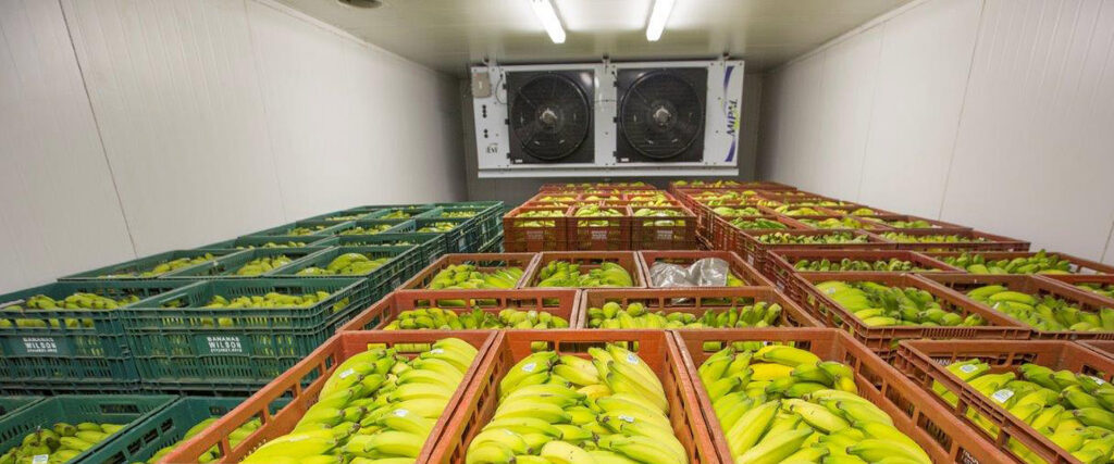 Armazenamento e Climatização