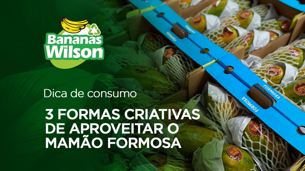 3 formas criativas de aproveitar o Mamão Formosa