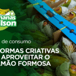 Dica de consumo: 3 formas criativas de aproveitar o Mamão Formosa