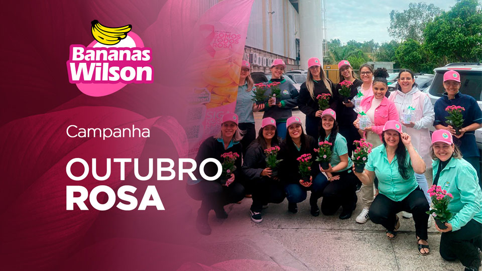 Outubro Rosa Bananas Wilson