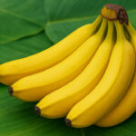 A viagem da banana – De fruta exótica a símbolo tropical brasileiro